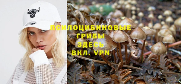меф Бородино