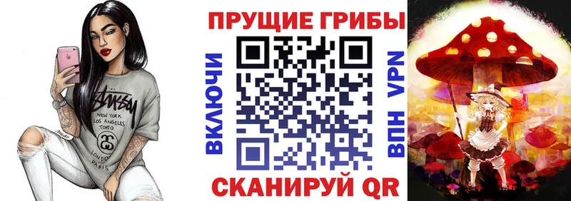 Псилоцибиновые грибы мухоморы  Южно-Сухокумск 